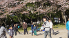 hana26 (262)_thumb.png
